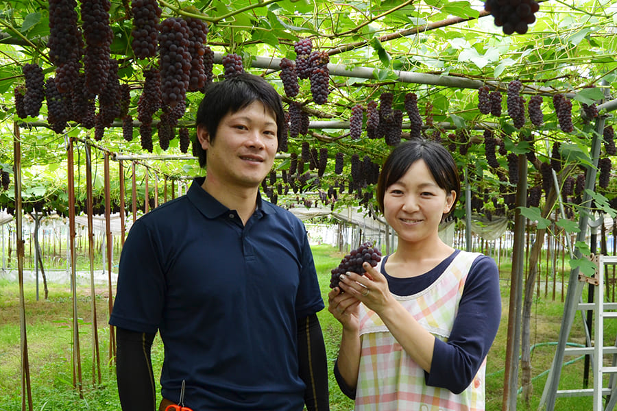 山形本沢ぶどう千葉農園