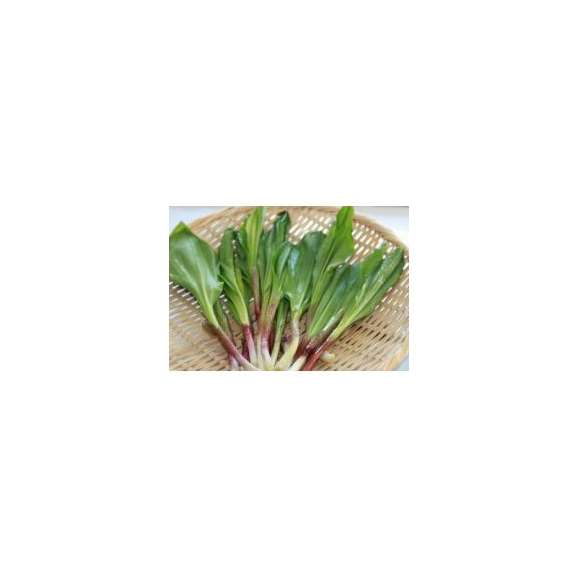 北海道富良野産　希少な天然の行者にんにく　２ｋｇ　【送料無料】日時指定不可03
