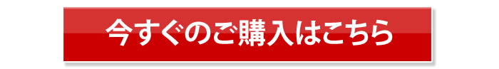 今すぐ購入の方はこちら