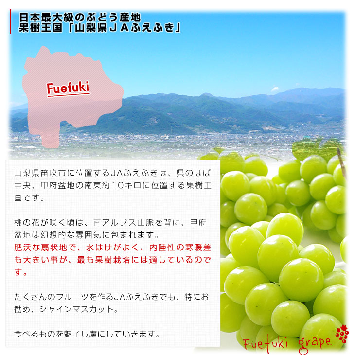 ふえふきの説明