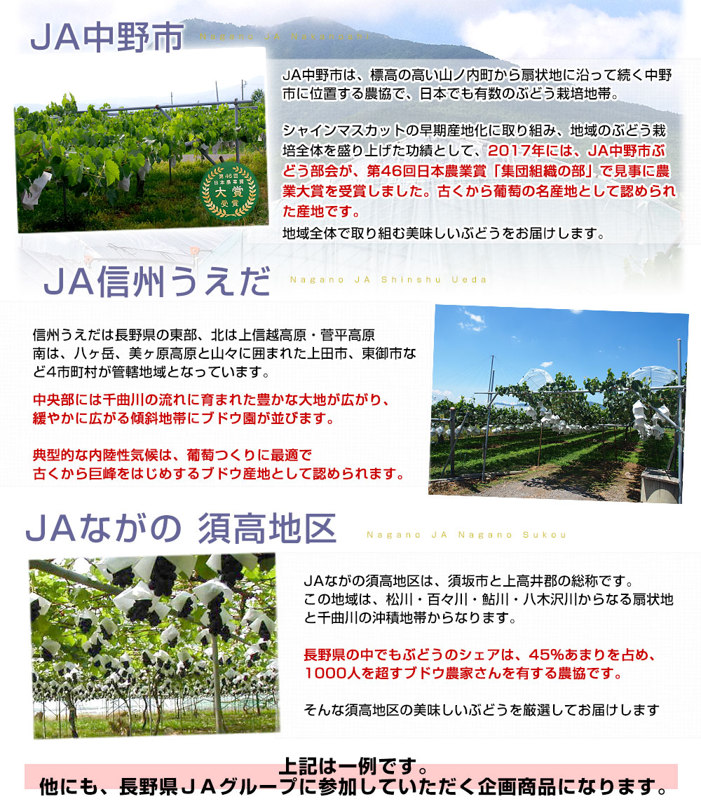 長野産地の説明