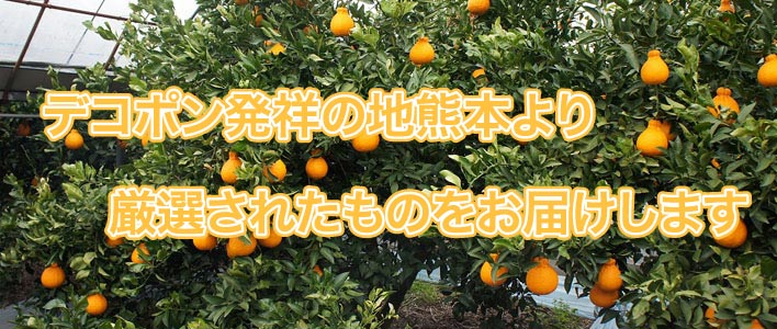 デコポンは熊本発祥