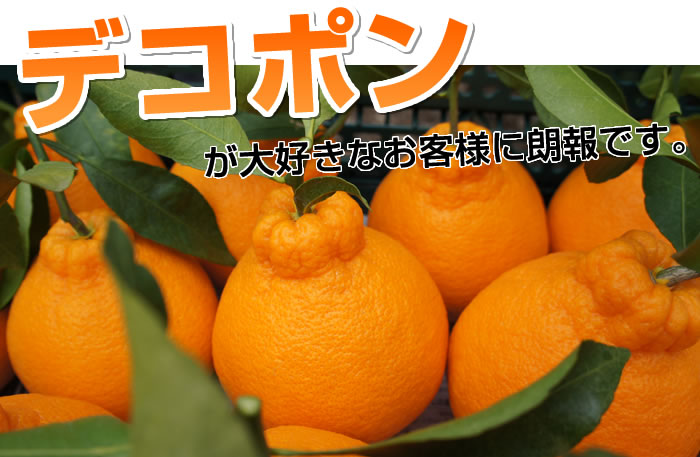 デコポン好きの方へ