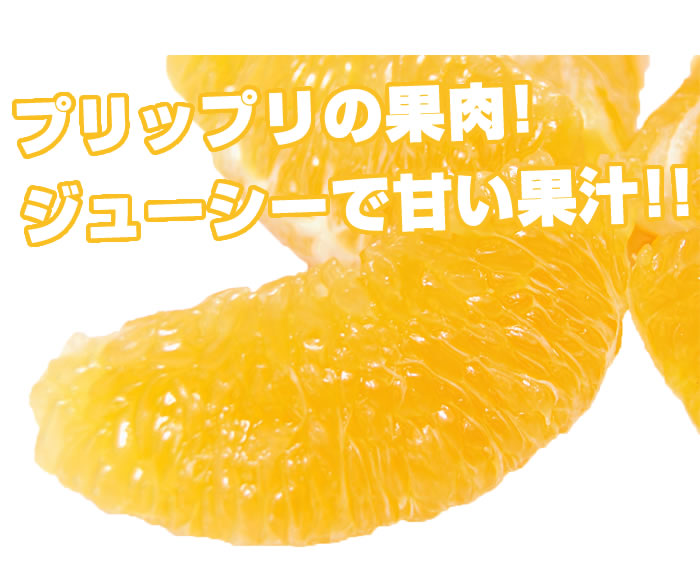 プリプリの果肉