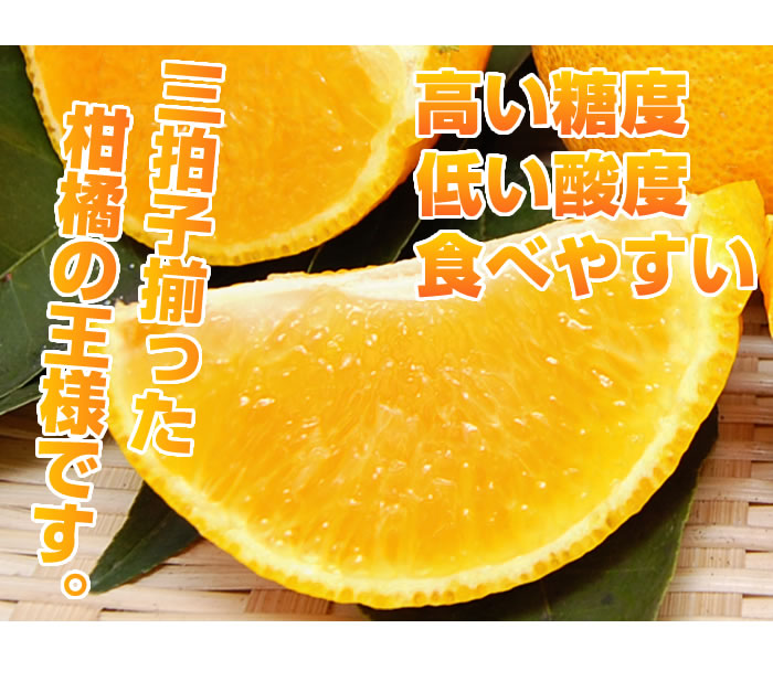 高い糖度・低い酸度で食べやすい