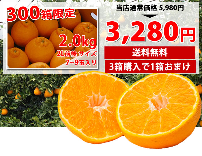 300箱限定