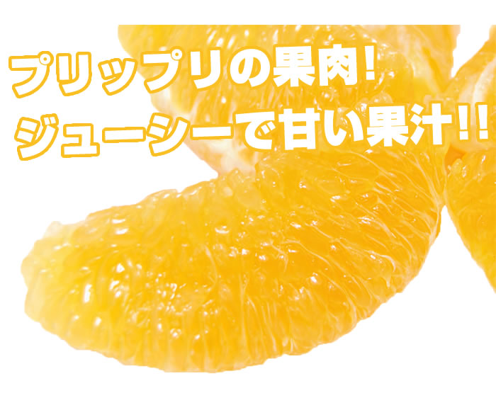 プリプリの果肉とジューシーな果汁