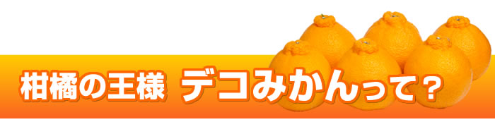 デコみかんって？