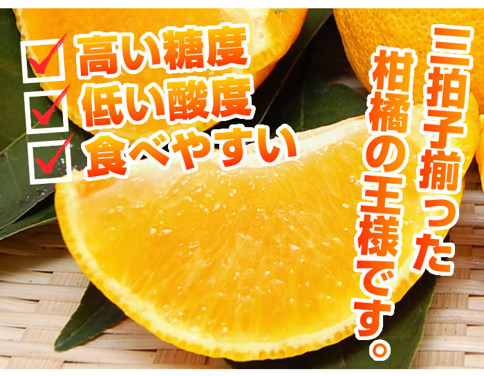 三拍子揃った柑橘の王様