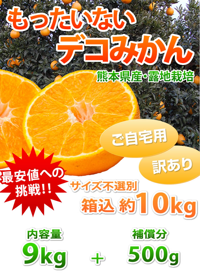 もったいない!デコみかん