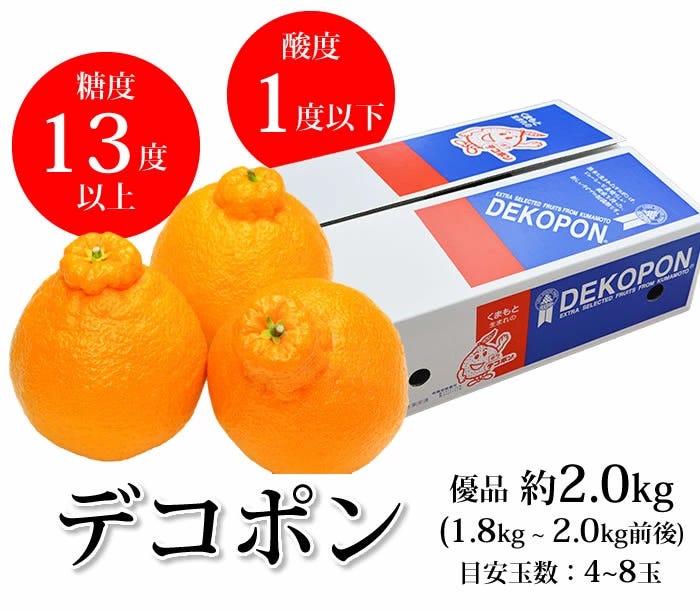 露地栽培出荷開始