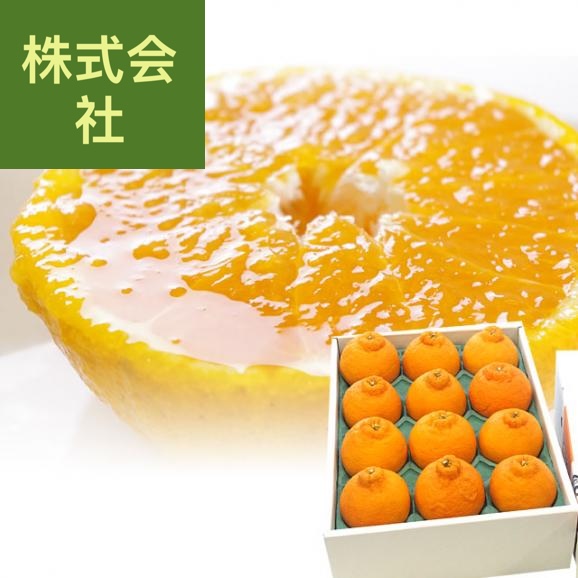 愛媛県 JAにしうわ デコポン 秀品  約2.5キロ 3LからLサイズ（9玉から12玉）でこぽん 柑橘 オレンジ 西宇和 八幡浜01