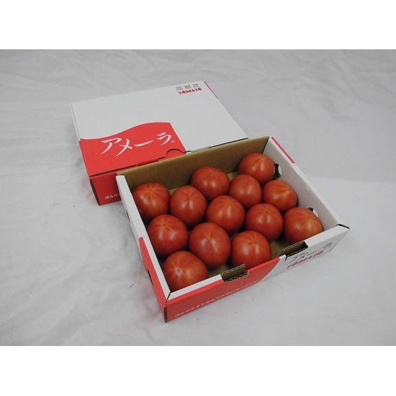 静岡県産 ”高糖度フルーツトマト アメーラ” 10～20個前後 約1kg 化粧箱入り【予約 入荷次第発送】 送料無料02