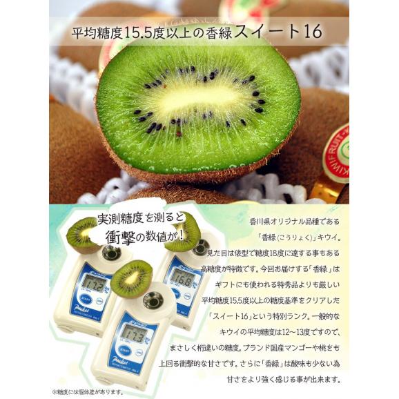 『香緑（こうりょく) スイート16』キウイフルーツ 香川県産 L～M 風袋込 約2.8kg（30～33玉） 産地箱 ※常温 送料無料02