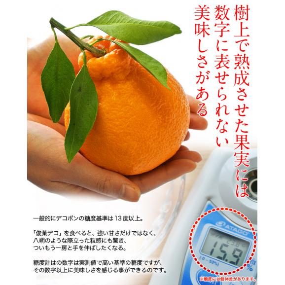 和歌山県産 長期樹上熟成 橋爪さんの『俊菓デコ』 （品種：しらぬひ） 秀品 2～3Lサイズ 6玉 約1.7kg 産地直送 ※常温 送料無料02