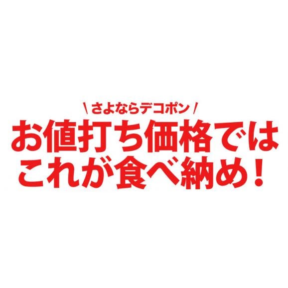 佐賀県産 デコポン 秀品 18～24玉　風袋込約５kg 送料無料02