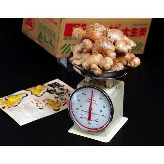 JA高知市 『大生姜』高知県産 約1kg 簡易箱入 ※冷蔵　送料無料02