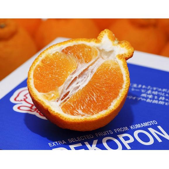『デコポン』熊本県産 風袋込み2.5kg（6～8玉） 簡易箱 ※常温 送料無料02