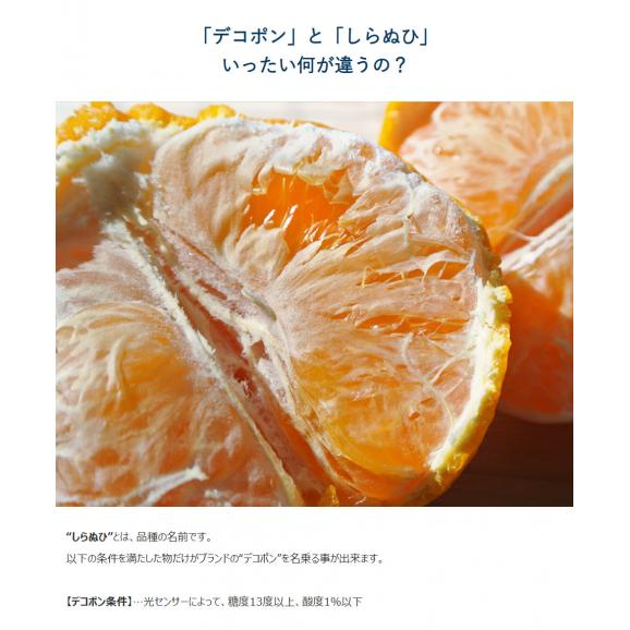 【カード・代引限定】無地箱でお届け　訳あり 不知火 しらぬひ JAにしうわ 三崎共選 愛媛県産 M〜4Lサイズ 風袋込 約5kg ※常温　送料無料 外皮のキズ有り02