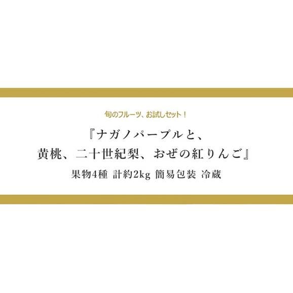 『ナガノパープルと、伊達の黄桃、二十世紀梨、おぜの紅りんご』 全4品 計約2kg 簡易包装 ※冷蔵 送料無料02
