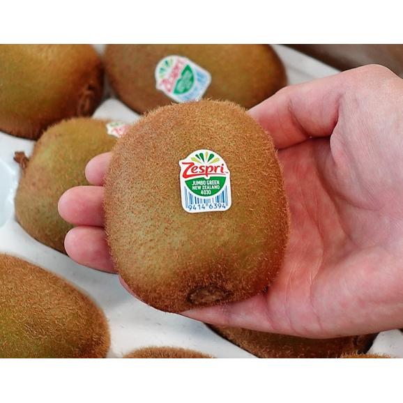 ニュージーランド産　ゼスプリ グリーンキウイ　大玉 22玉入り　約3.2kg ※常温　送料無料02