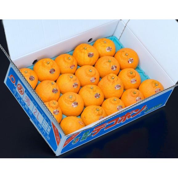 糖度13度以上 三崎 の デコポン 愛媛県産 優～秀 L～2L 風袋込 約5kg（20～24玉）産地箱 JAにしうわ ※常温 送料無料02