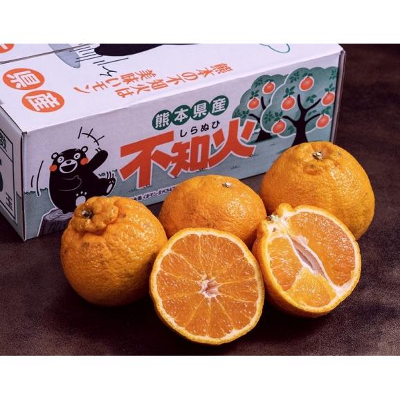 【3箱】『しらぬひ』 熊本県産　約1.5kg×3箱　合計約4.5kg（1箱：5～6玉）※常温　送料無料02