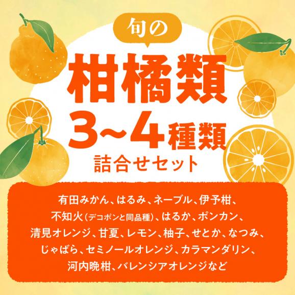 AB7204_（先行予約）（旬の美味）（みかん名産地和歌山有田）有田育ちの旬の ご家庭　旬の柑橘 詰め合わせセット 4.5kg（訳あり）02