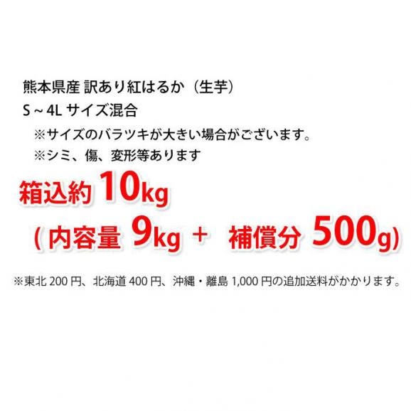 紅はるか 訳あり 箱込10kg 内容量9kg 補償分500g 送料無料 生芋 さつまいも 熊本県産 02