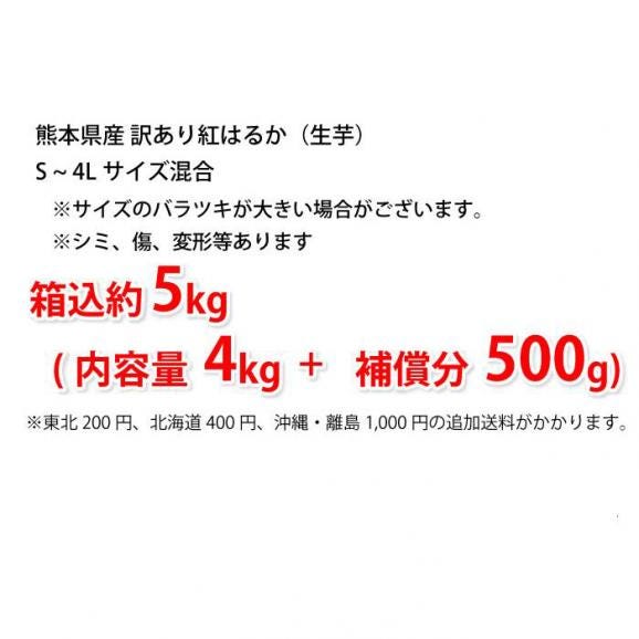 紅はるか 訳あり 5kg 箱込 内容量4kg+補償分500g 送料無料 さつまいも 熊本県産 べにはるか サツマイモ 焼き芋に 芋 いも02