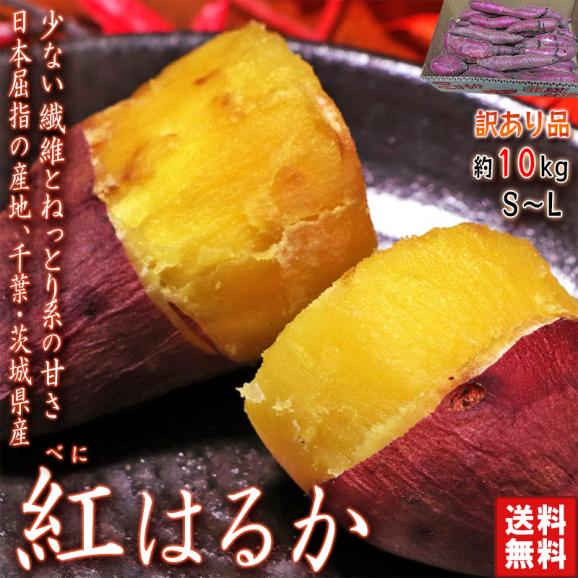 さつまいも 紅はるか 約10kg 千葉県・茨城県産 訳あり品 濃厚な味と栄養豊富な旬の野菜！甘み溢れる薩摩芋をお届け 紅遥か サツマイモ02