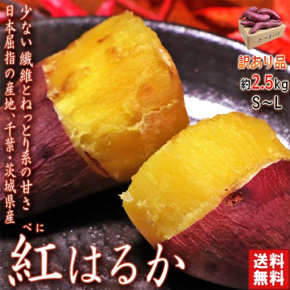 さつまいも 紅はるか 約2.5kg 千葉県・茨城県産 訳あり品 濃厚な味と栄養豊富な旬の野菜！甘み溢れる薩摩芋をお届け サツマイモ 熟成 大量 安い02