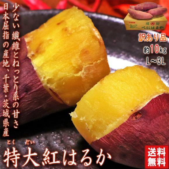 紅はるか 特大さつまいも 約10kg L～3Lサイズ 千葉県・茨城県産 お得用 家庭用限定 産地箱入り しっとり系の濃厚な甘さの紅はるか！02