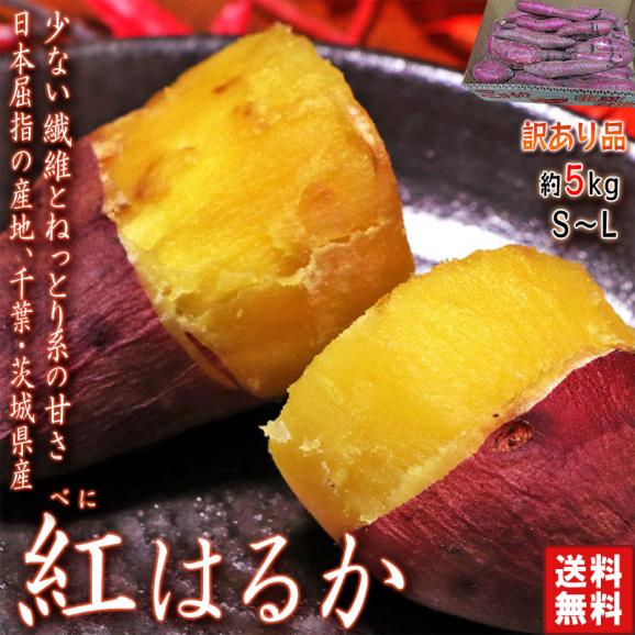 紅はるか さつまいも 約5kg 千葉県・茨城県産 訳あり品 濃厚な味と栄養豊富な旬の野菜！甘み溢れる薩摩芋をお届け02