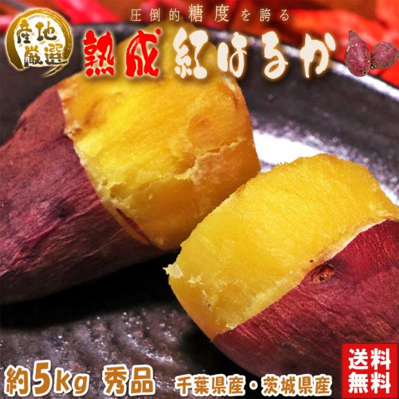 【秀品】紅はるか 約5kg 千葉県・茨城県産 ダントツの甘さを誇る紅はるか！ ギフトや贈答品にもオススメな見栄えの良い薩摩芋をお届け！ さつまいも 02