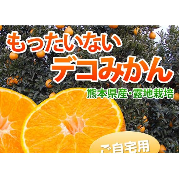 訳あり デコみかん 箱込1.5kg 2セット購入で1セットおまけ 3セット購入で3セットおまけ 送料無料 3月中旬〜下旬ごろより順次出荷開始 ご自宅用 デコポンと同品種02