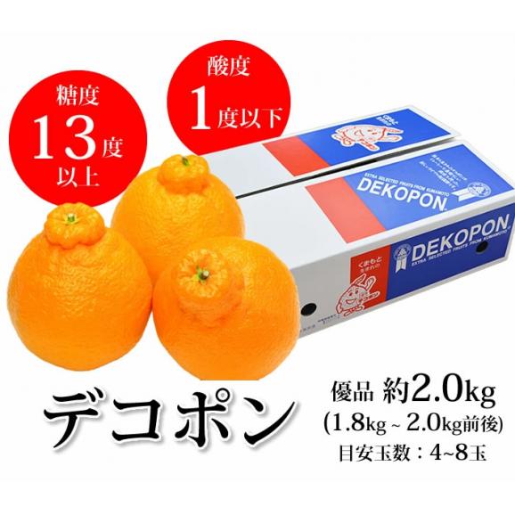 デコポン 熊本県産 約2.0kg 光センサー選果 12月中旬ごろより出荷【東北200円、北海道400円、沖縄・離島1000円の追加送料】02