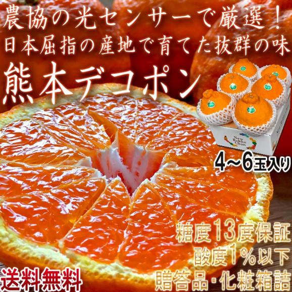 デコポン しらぬい 4～6玉 熊本県産 贈答規格 化粧箱入り JAくまもと 光センサー選果・糖度13度以上限定 糖度保証で確かな味！栽培適地で育てた本場の美味しさ02