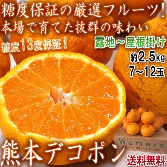 デコポン 熊本産 露地栽培約2.5kg 7玉～12玉 簡易包装 糖度13度以上保障 光センサー認証 全国統一糖酸品質基準通過02
