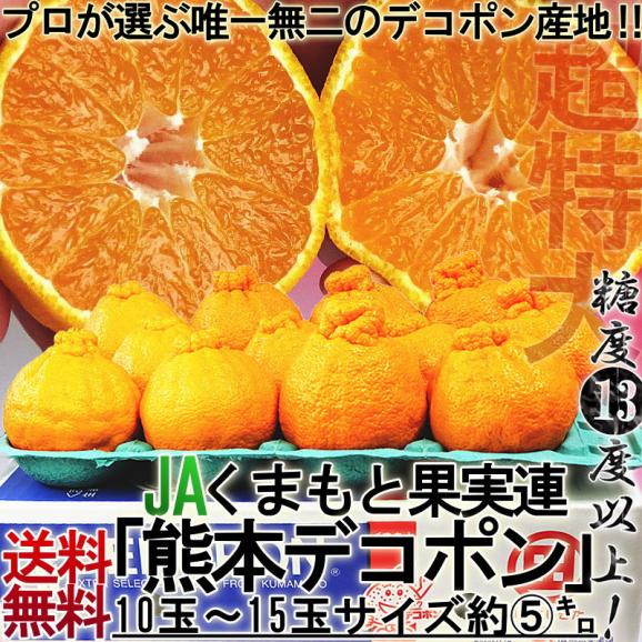 特大デコポン しらぬい 約5kg 10～15玉 熊本県産 贈答規格 JA熊本経済連 光センサー選果・糖度13度以上限定 糖度保証で確かな味！栽培適地で育てた本場の美味しさ02