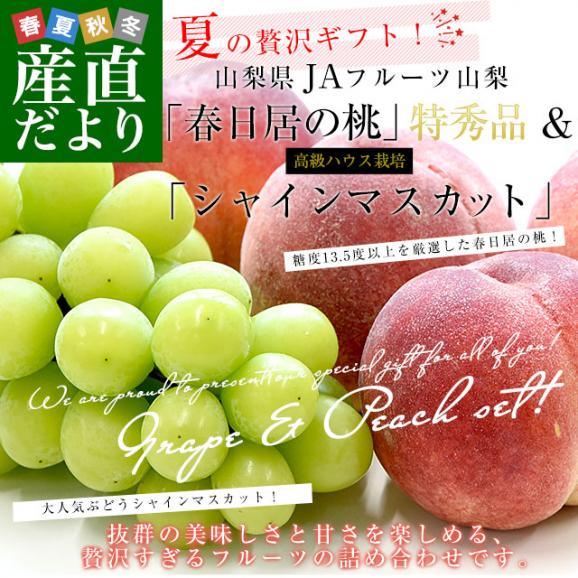山梨県 JAフルーツ山梨 フルーツセット 春日居の桃 特秀品 4玉 (約1.2キロ) ＆高級ハウスシャインマスカット 秀品 1房 450g以上 送料無料 お中元 夏ギフト02