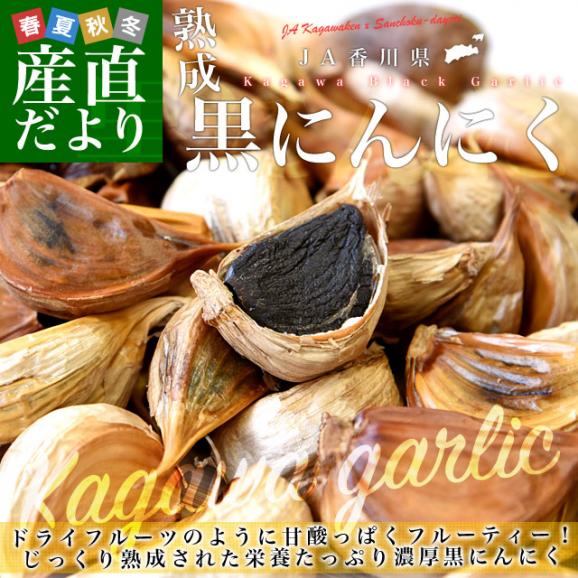 香川県より産地直送 JA香川県 熟成黒にんにく 約300g（タッパー入り） 黒ニンニク 大蒜 送料無料02