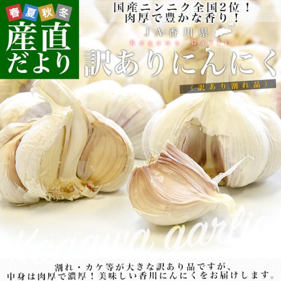 香川県から産地直送 JA香川県 訳ありニンニク 不揃い割れ品 約2キロ 送料無料 香川にんにく 大蒜 葫02