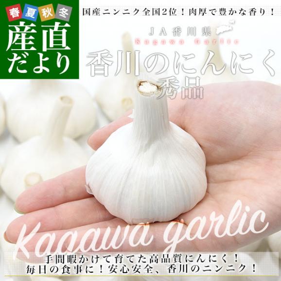 香川県から産地直送 JA香川県 ニンニク 秀品 約1キロ (目安として27玉前後) 送料無料  香川にんにく 大蒜 葫 讃岐 さぬき02
