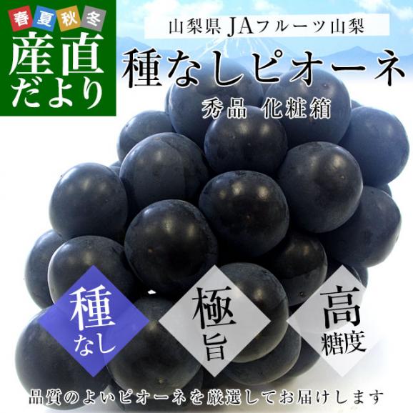 山梨県より産地直送 JAフルーツ山梨 種なしピオーネ 秀品 大房１房入り 化粧箱 (約650g ×１房) 送料無料 葡萄 ぶどう お中元 夏ギフト02