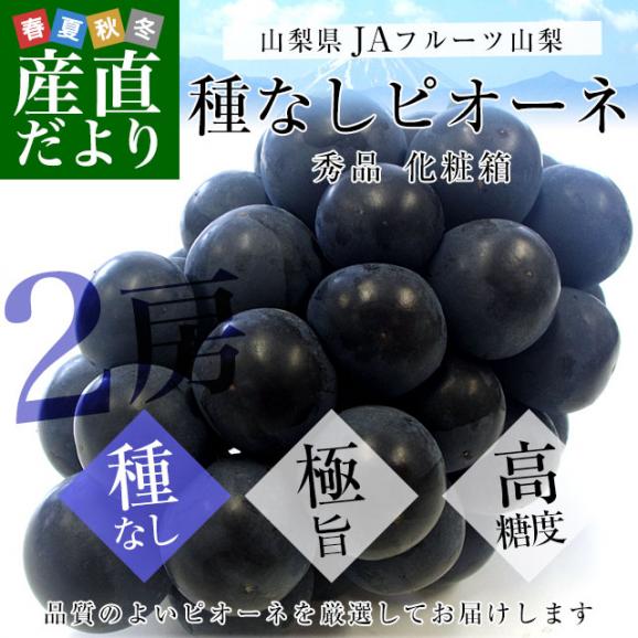 山梨県より産地直送 JAフルーツ山梨 種なしピオーネ 秀品 大房2房入り 化粧箱 (約550g ×2房) 送料無料 葡萄 ぶどう お中元 夏ギフト02