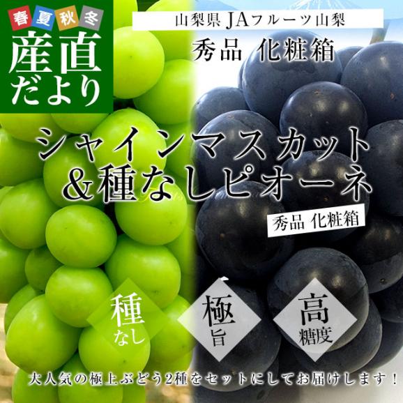 山梨県より産地直送 JAフルーツ山梨 シャインマスカット＆種なしピオーネ 2種セット 秀品 大房2房入 化粧箱 (約550g×2房）送料無料 葡萄 ぶどう お中元 夏ギフト02