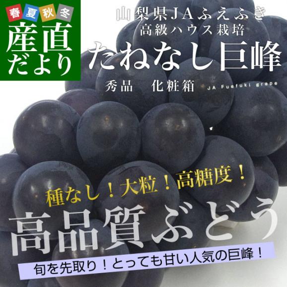 山梨県から産地発送 JAふえふき 高級ハウス栽培種なし巨峰 秀品 1房 450g化粧箱入り ぶどう 葡萄 送料無料02
