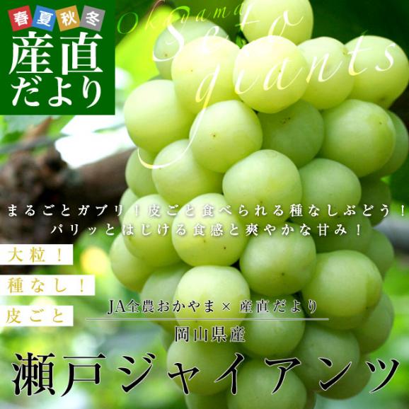  JA全農おかやま協賛 岡山県産 瀬戸ジャイアンツ 青秀2房合計1.2キロ(600g×2房）送料無料02
