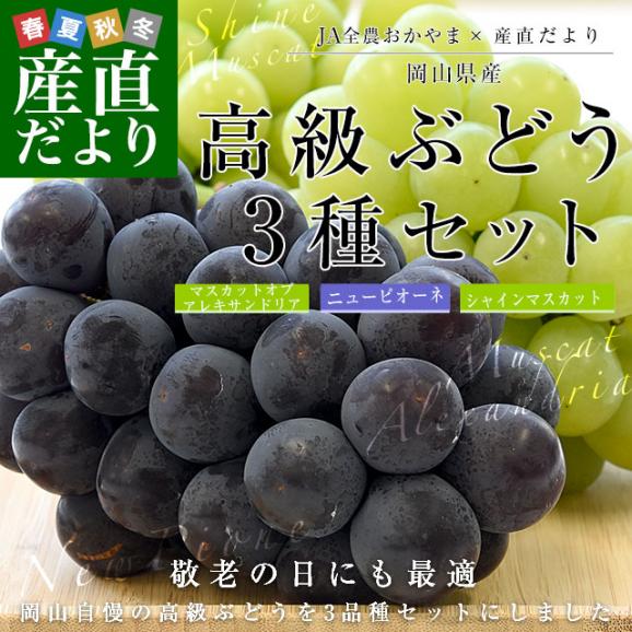 敬老の日に最適　JA全農おかやま協賛 岡山県産 高級ぶどう3種セット（シャインマスカット＆アレキサンドリア＆ニューピオーネ 合計3房）(500gから600g×3房）送料無料02